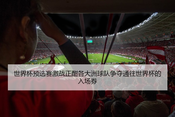 世界杯预选赛激战正酣各大洲球队争夺通往世界杯的入场券