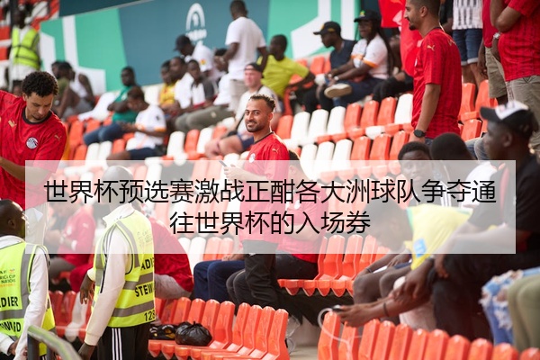 世界杯预选赛激战正酣各大洲球队争夺通往世界杯的入场券