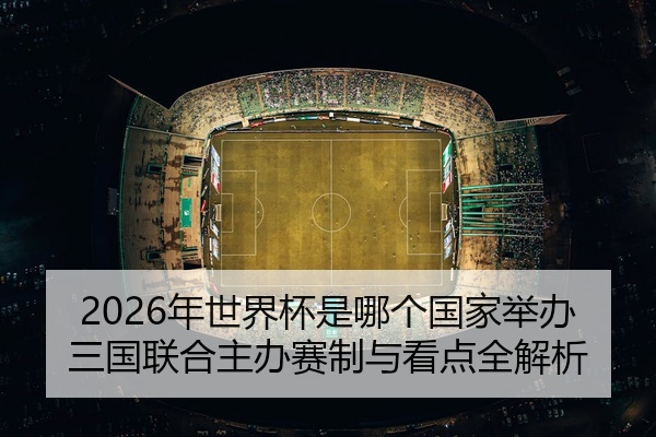 2026年世界杯是哪个国家举办三国联合主办赛制与看点全解析