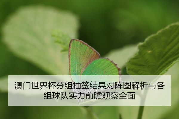 澳门世界杯分组抽签结果对阵图解析与各组球队实力前瞻观察全面