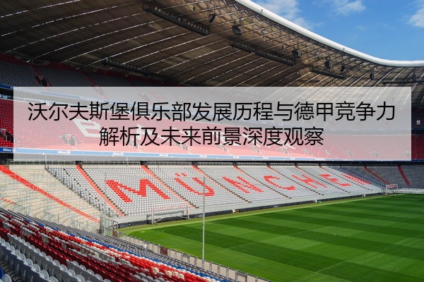 沃尔夫斯堡俱乐部发展历程与德甲竞争力解析及未来前景深度观察