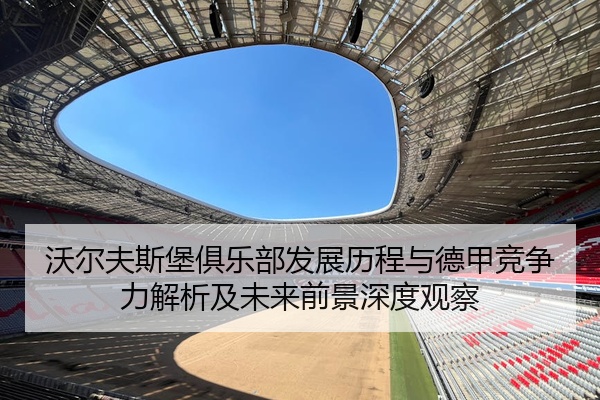 沃尔夫斯堡俱乐部发展历程与德甲竞争力解析及未来前景深度观察