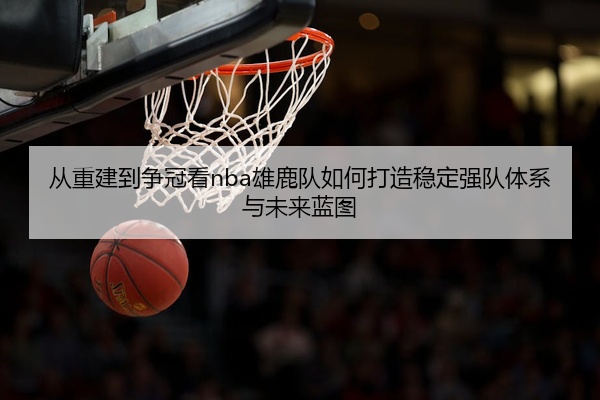 从重建到争冠看nba雄鹿队如何打造稳定强队体系与未来蓝图